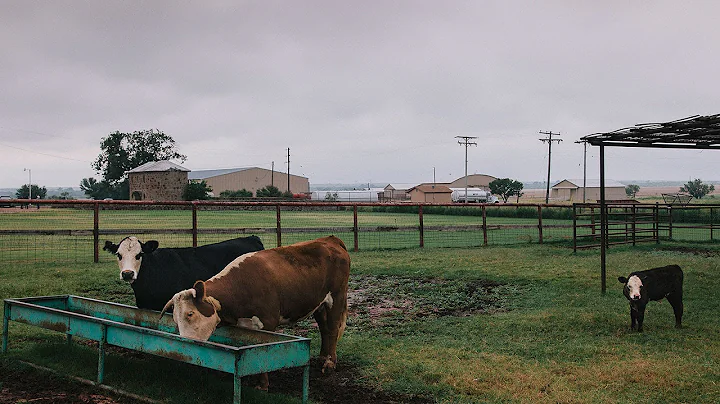 Waggoner Ranch: Iconic Chunk of Texas for Sale at ...