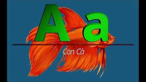 Teaching 29 VIETNAMESE  Alphabet Letters/ Vietnamese Letters and Sounds