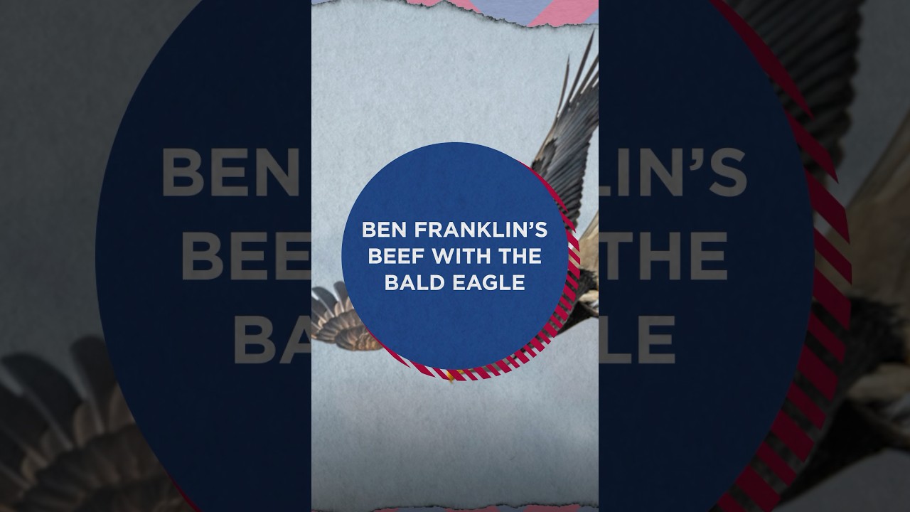 Ben Franklin had beef with the bald eagle. #history #americanhistory