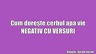 Miniatura de vídeo de "Negativ - Cum Doreste cerbul apa vie 2019 (Vasile Avram)"