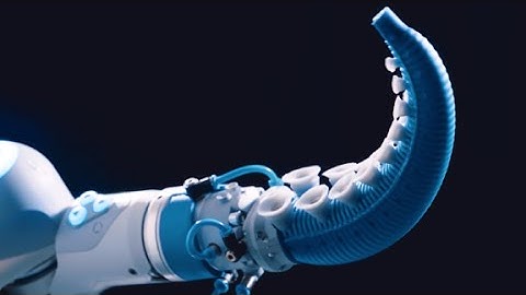 Meet the octopus-inspired robotic gripper