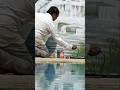 Gira Waterfall Amazing painting | gira water fall in Gujarat | #shortvideo   #shorts