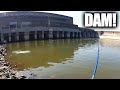 Crankbait Fishing Below the Dam - Surprising Fish Catch! (Realistic)