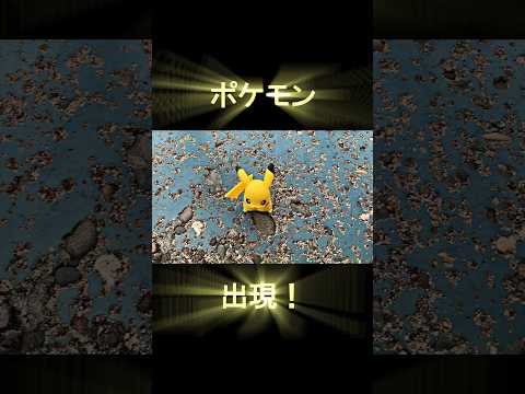 【ポケモン】ポケモンゲットだぜ！！　#ポケモン #人形 #shorts