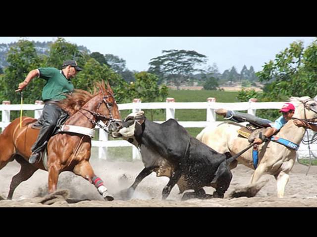 Alcymar Monteiro - Vaqueiro Nordestino