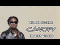Kuami Eugene-CANOPY (Official Lyrics Video)
