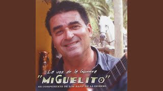 Video thumbnail of "Miguelito - El Madrigal"