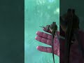 Iguana na piscina  gelada #iguana #piscinas  #bichos