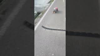 Download Lagu Shalat di jalan raya MP3