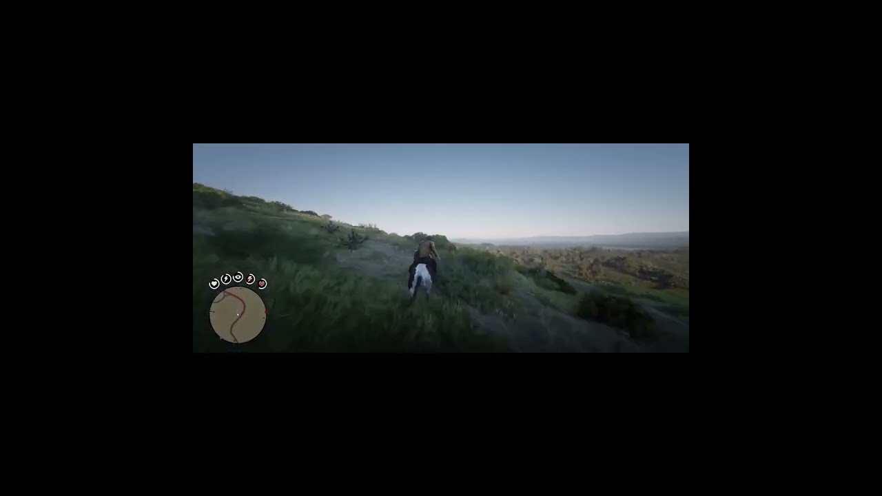 Outsmarted By A Horse