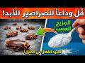 وصفة طبيعية تقضي على الصراصير من اليوم الأول | لن تدخل ا