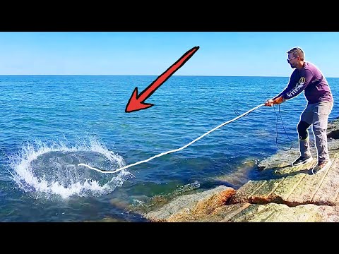 Cast Netting Strange Mystery Fish! (Where Did They Come From???)