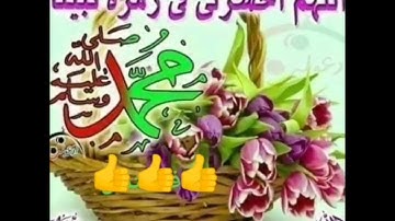 تلاوة خاشعة للشيخ عماد بن عامر