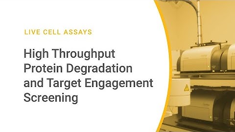 High Throughput Protein Degradation and Target Engagement Screening