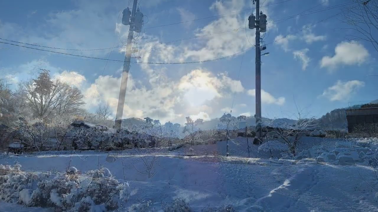 한농마을 환상적인 봄설경