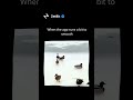 When the app runs a bit to smooth #programmer #coding #codinglife