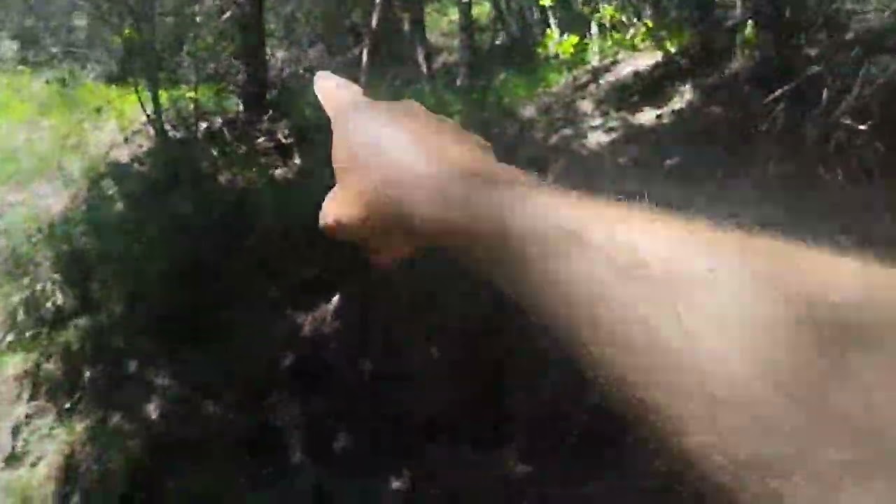 mulattiera militare vantone mandoal con la bocca dei ladroni lago d'Idro