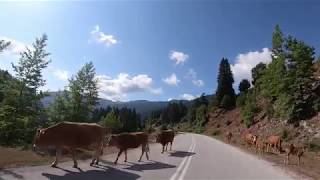 3Ου Αντάμωμα Φίλων Μοτοσυκλετας Πέριξ Τής Έλάτης Τρικάλων Travelling In Greece