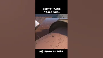 新型コロナウイルスはこんなに小さい 