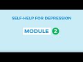 Self-help for depression 2: Behavioural Activation