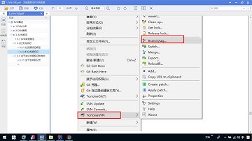 SSM 03 TortoiseSVN及IDEA下SVN的使用   012 SVN打分支及主干合并到分支