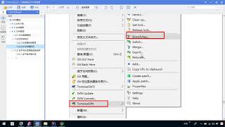 SSM 03 TortoiseSVN及IDEA下SVN的使用   012 SVN打分支及主干合并到分支