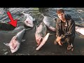 Why 73,000,000 Sharks were Found DEAD on this BEACH? 😳 *WARNING!* (the dark truth)