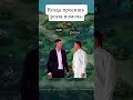 когда просишь роум помочь