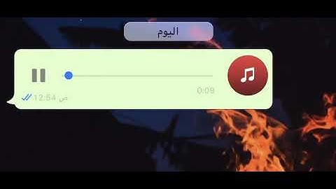 ﴿أُولٰئِكَ يُؤتَونَ أَجرَهُم مَرَّتَينِ بِما صَبَروا﴾ - القارئ ماجد العقل