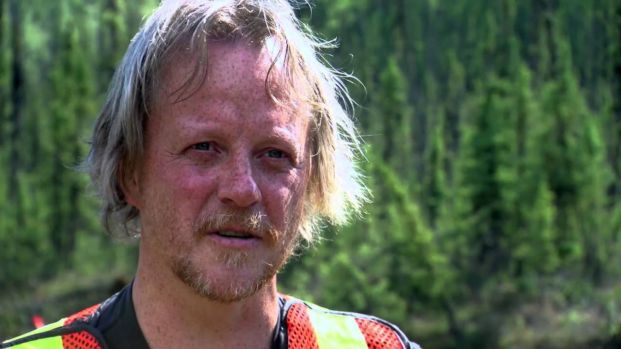 Yukon Gold - Bernie's Garden