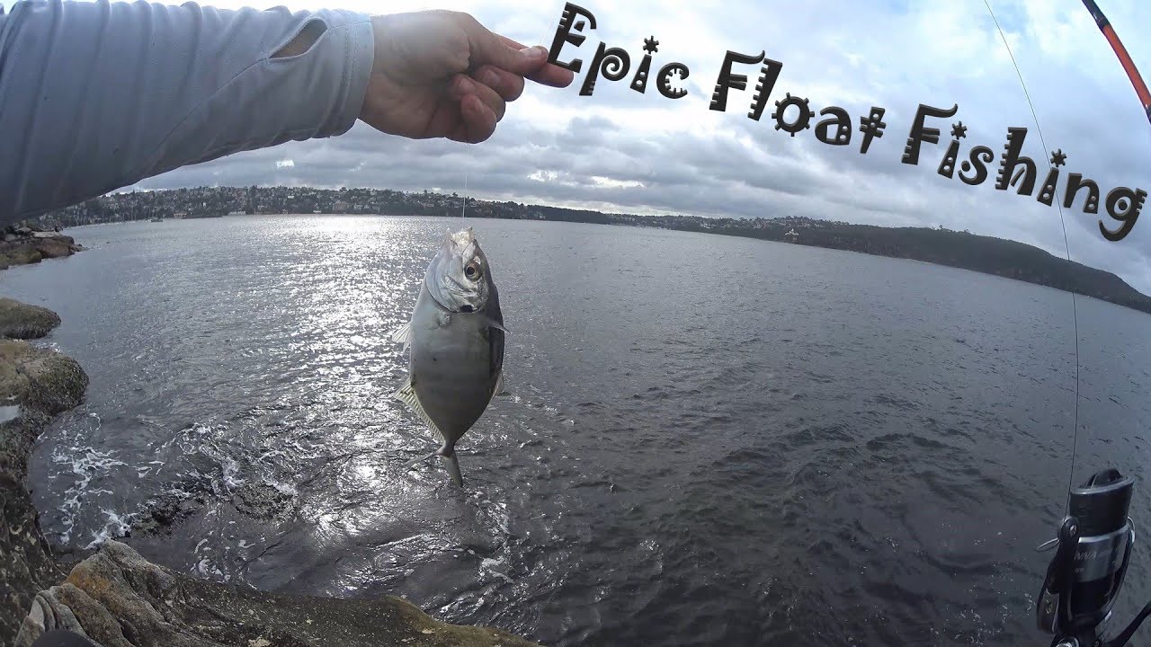 Float Fishing is still fun when Luderick aren't biting Catching Bream