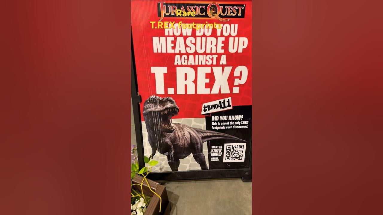 t-rex-footprints-one-of-only-discovered-ever-viral-youtubeshorts
