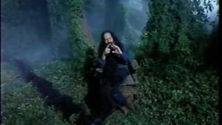 Famous Steven Wright: Wicker Chairs and Gravity - 7/7 Net Worth