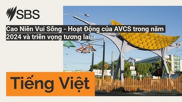 Cao Niên Vui Sống - Hoạt Động của AVCS trong năm 2024 và triễn vọng tương lai | SBS...