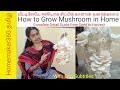 Grow Mushroom Easily in home | வீட்டிலேயே  ஈஸியாக காளான் வளர்ப்பது எப்படி |  Kalan Valarpathu Eppadi