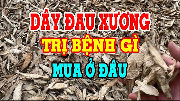 Dây đau xương - Dây đau xương có tác dụng gì - Dây đau xương khớp - Mua dây đau xương ở đâu