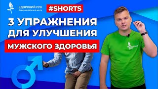 3 упражнения для улучшения мужского здоровья #Shorts