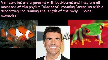 GCSE Biology Revision 2016