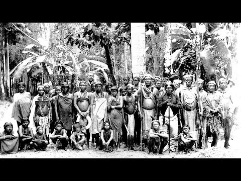 ვიდეო: როდის მოვიდნენ ლუკაიანები ბაჰამის კუნძულებზე?
