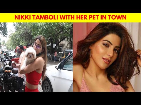 Nikki Tamboli Along With Her Cute Pet Spotted In Mumbai, Latest Video, Instant Bollywood