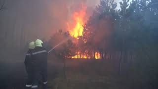 Einsatzbilanz 2020 Des Nö Landesfeuerwehrverbandes