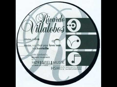 Ricardo Villalobos - N-DRA