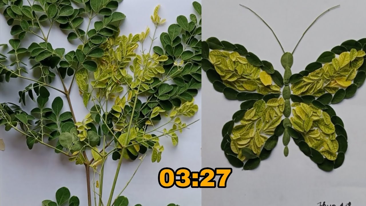 LEAVES ART TURN INTO BUTTERFLY 🦋 