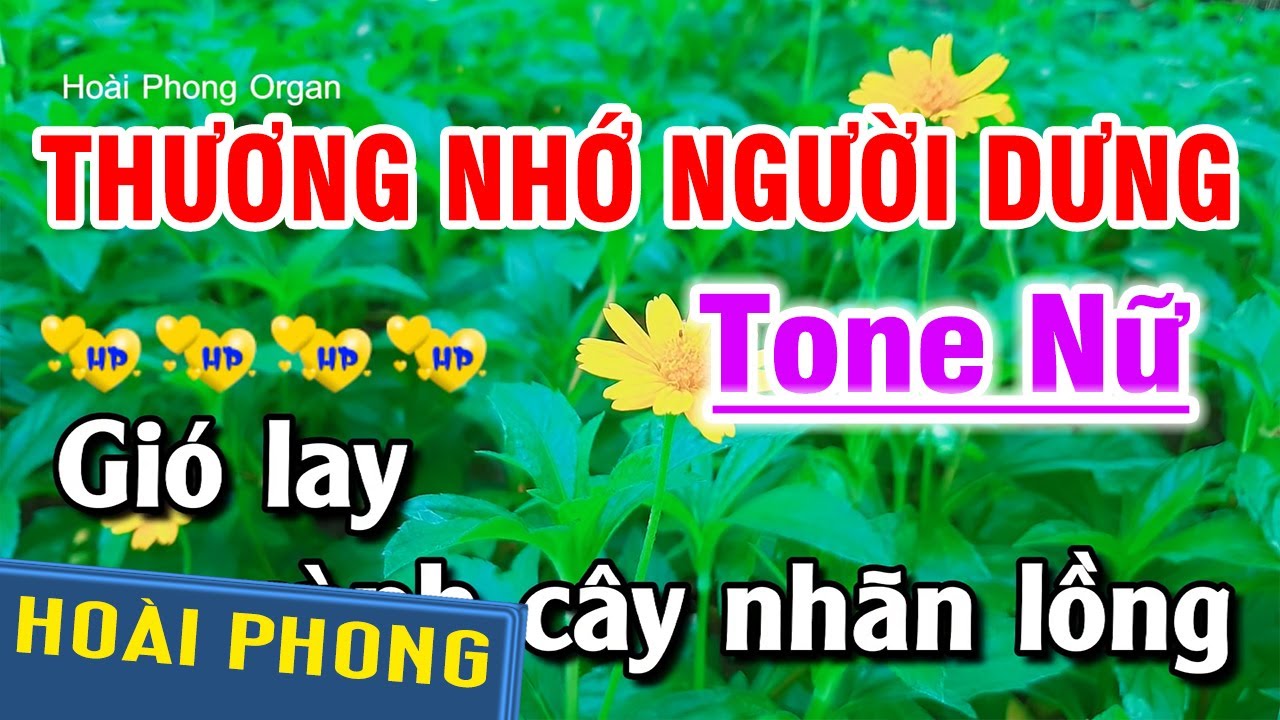 Thương Nhớ Người Dưng Karaoke Nhạc Sống Tone Nữ | Hoài Phong Organ