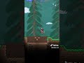 Água infinita no começo do jogo Terraria
