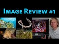 I'll Review YOUR Underwater Photos - Ep 1