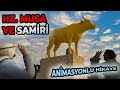 Hz musa ve mnafik samr  anmasyonlu dn hkaye kissa