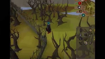 how to get a level 1 clue scroll (easy)