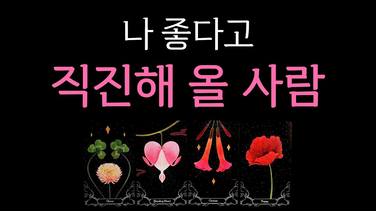 [타로] 나 좋다고 직진해 올 사람