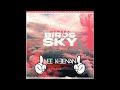 New Era - Birds In The Sky (Lee Keenan's Tiktok Remix)